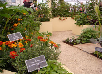 Chelsea Show Garden 1
