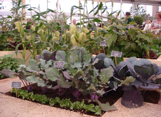 Chelsea Show Garden 2